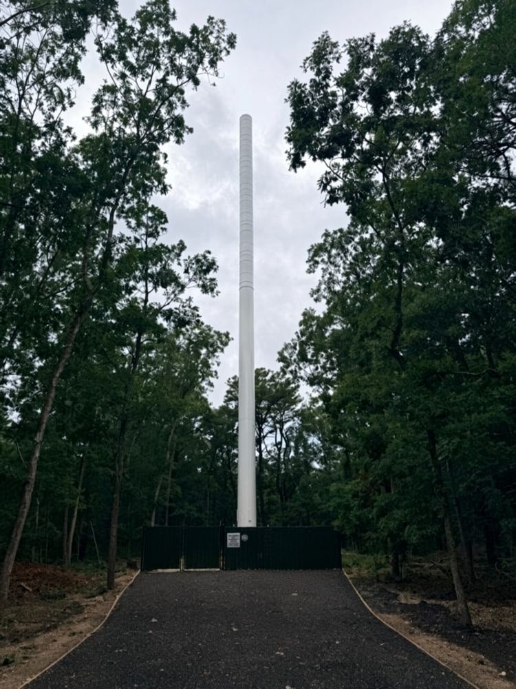 Monopole in a wooded clearing